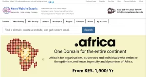 Kenya Web Experts