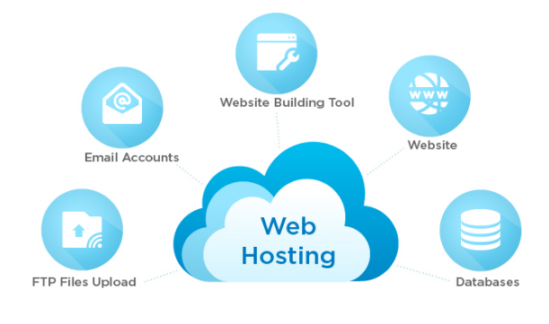 what is web hosting