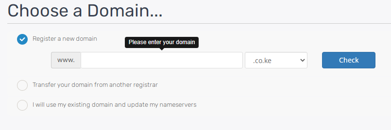 choose domain name